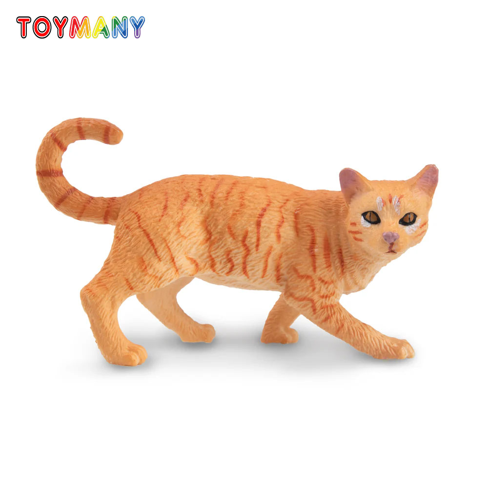 Toymany Symulacja Skaczący Pom – Kids First Education recenzja i cena